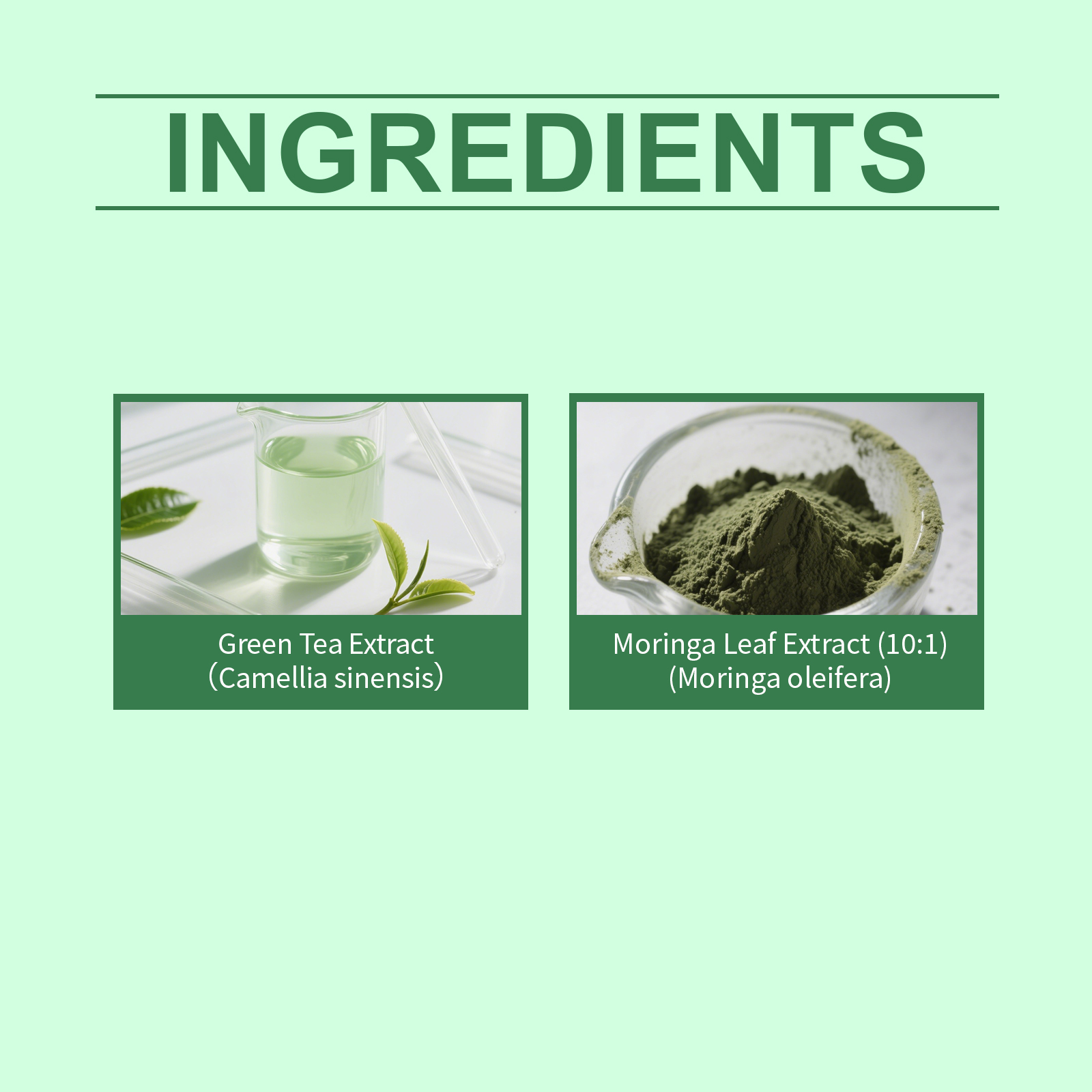 Activating Oral Solution Natural Plant-Based Weight Support Slimming Weight Loss Gut and Metabolic Health Mild Botanical Supplement to Support Your Daily Wellne