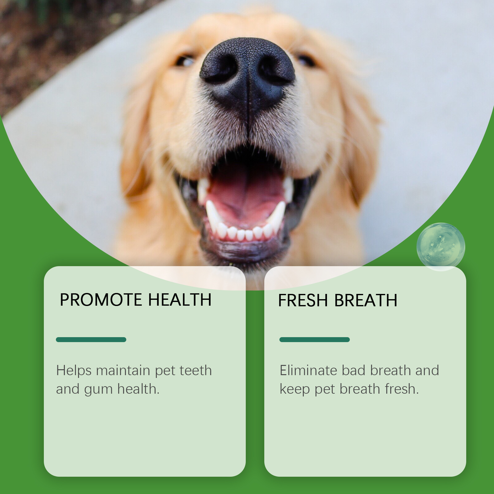 Dog Teeth Cleaning Powder Gently Cleans Pet Teeth Improves Tartar Yellow Teeth Freshens Breath