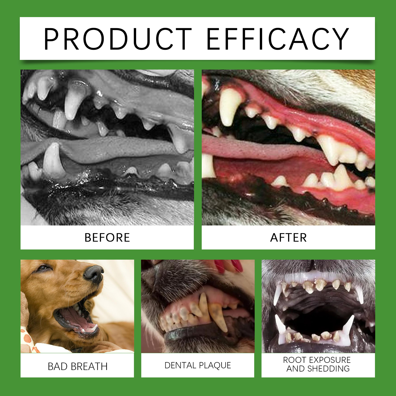 Dog Teeth Cleaning Powder Gently Cleans Pet Teeth Improves Tartar Yellow Teeth Freshens Breath