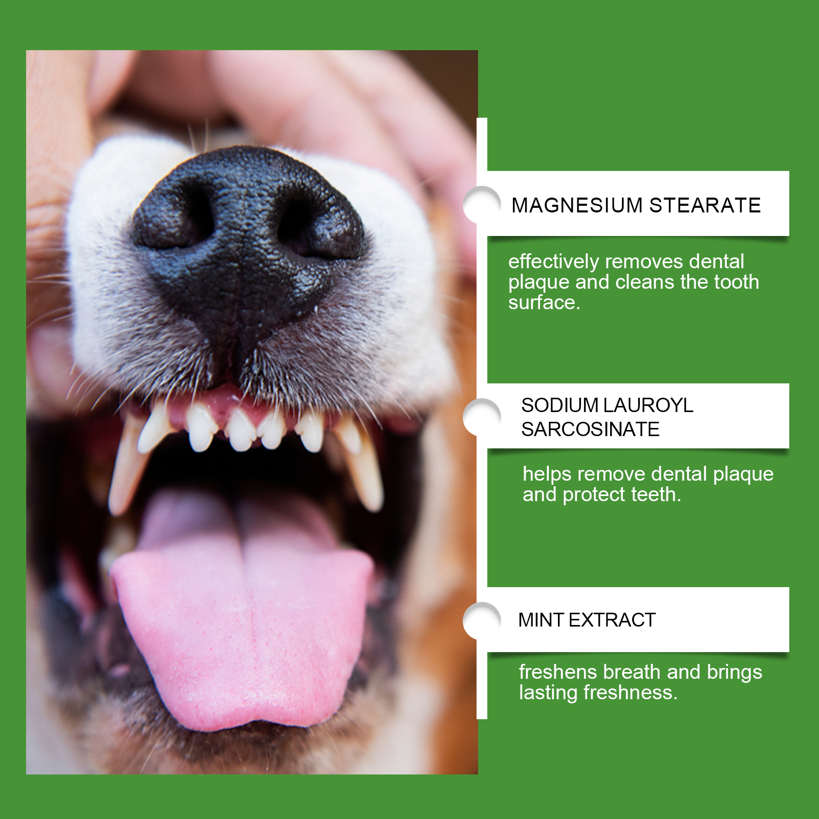Dog Teeth Cleaning Powder Gently Cleans Pet Teeth Improves Tartar Yellow Teeth Freshens Breath