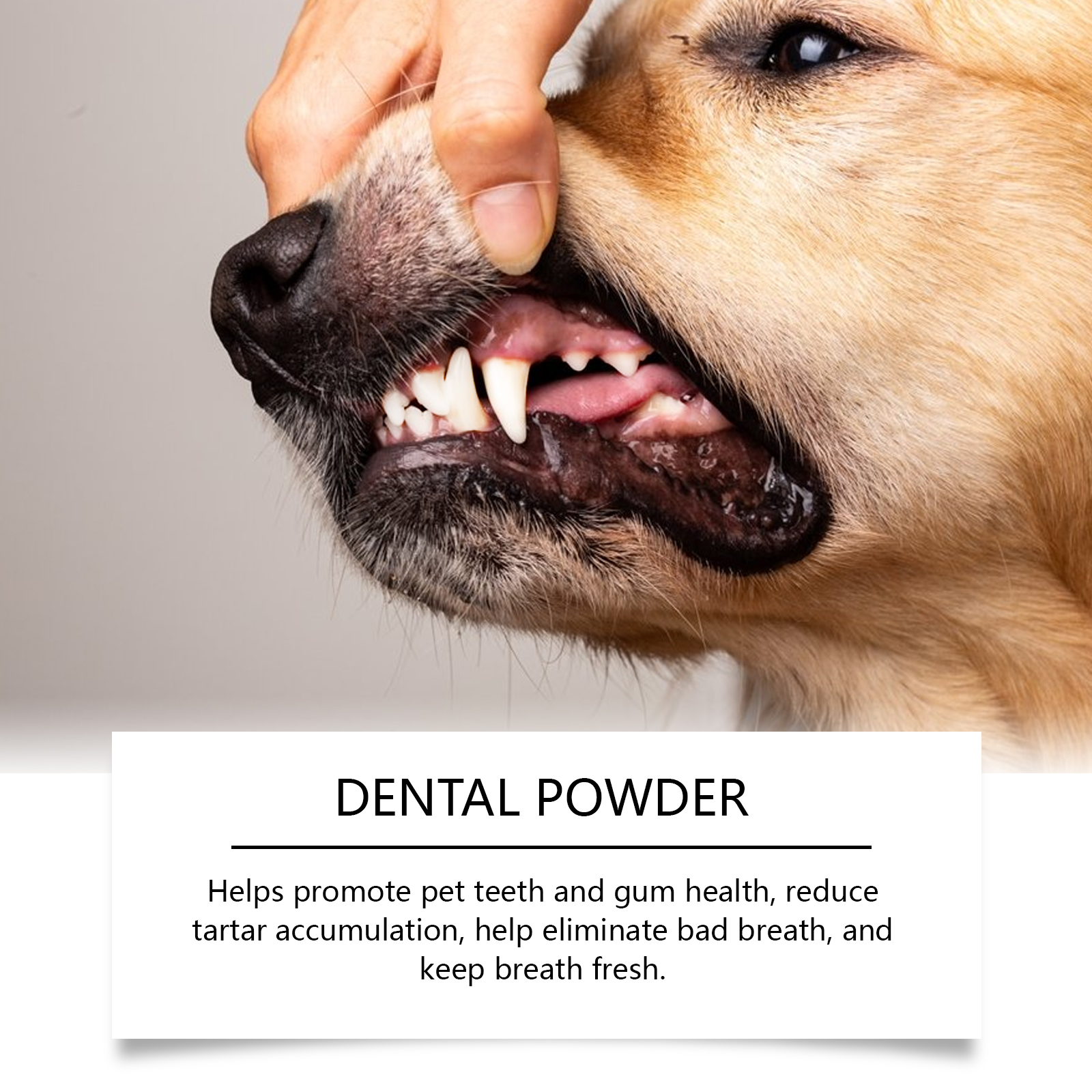 Dog Teeth Cleaning Powder Gently Cleans Pet Teeth Improves Tartar Yellow Teeth Freshens Breath