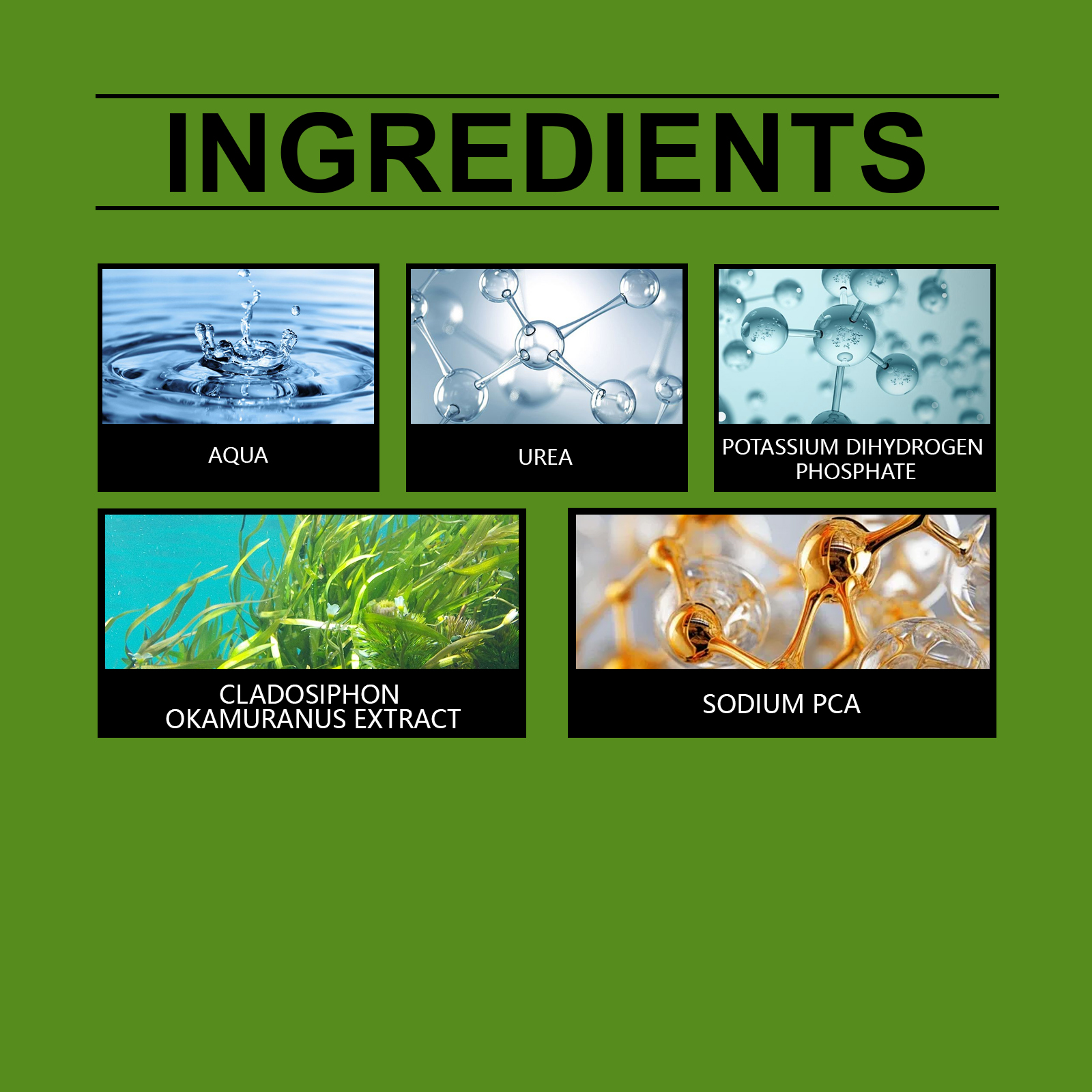 Plant Growth Enhancer Promotes Rooting Root Enhancer Supplement Fast Growing Garden Supplies for Flower Plant Sapling Fruit Tree ﻿