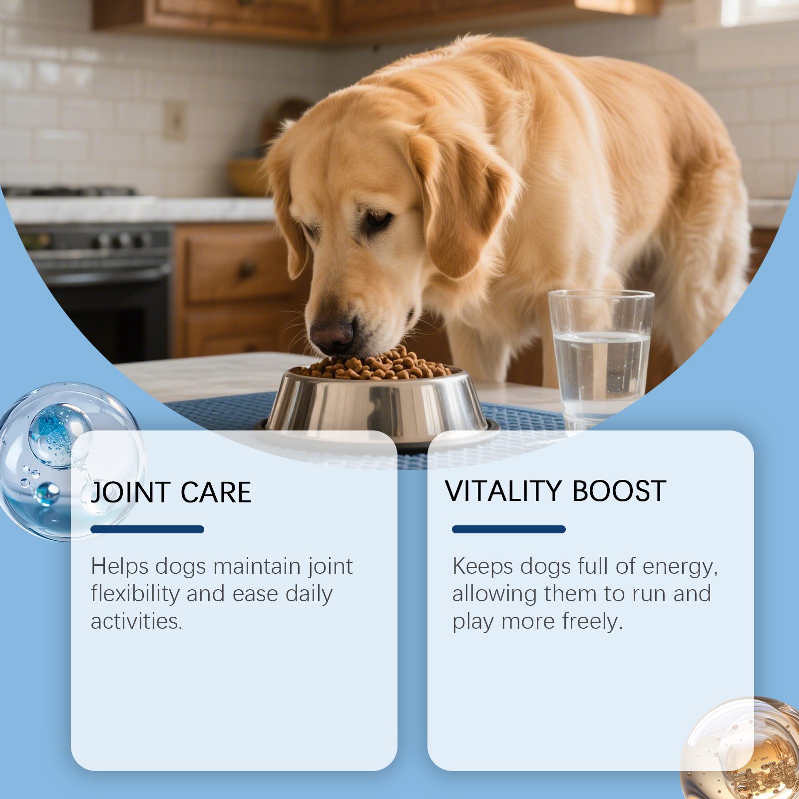 Dog Hip Joint Soft Granules Mild Gentle Comfort Joint Care Daily Maintenance Canine Joint Protection