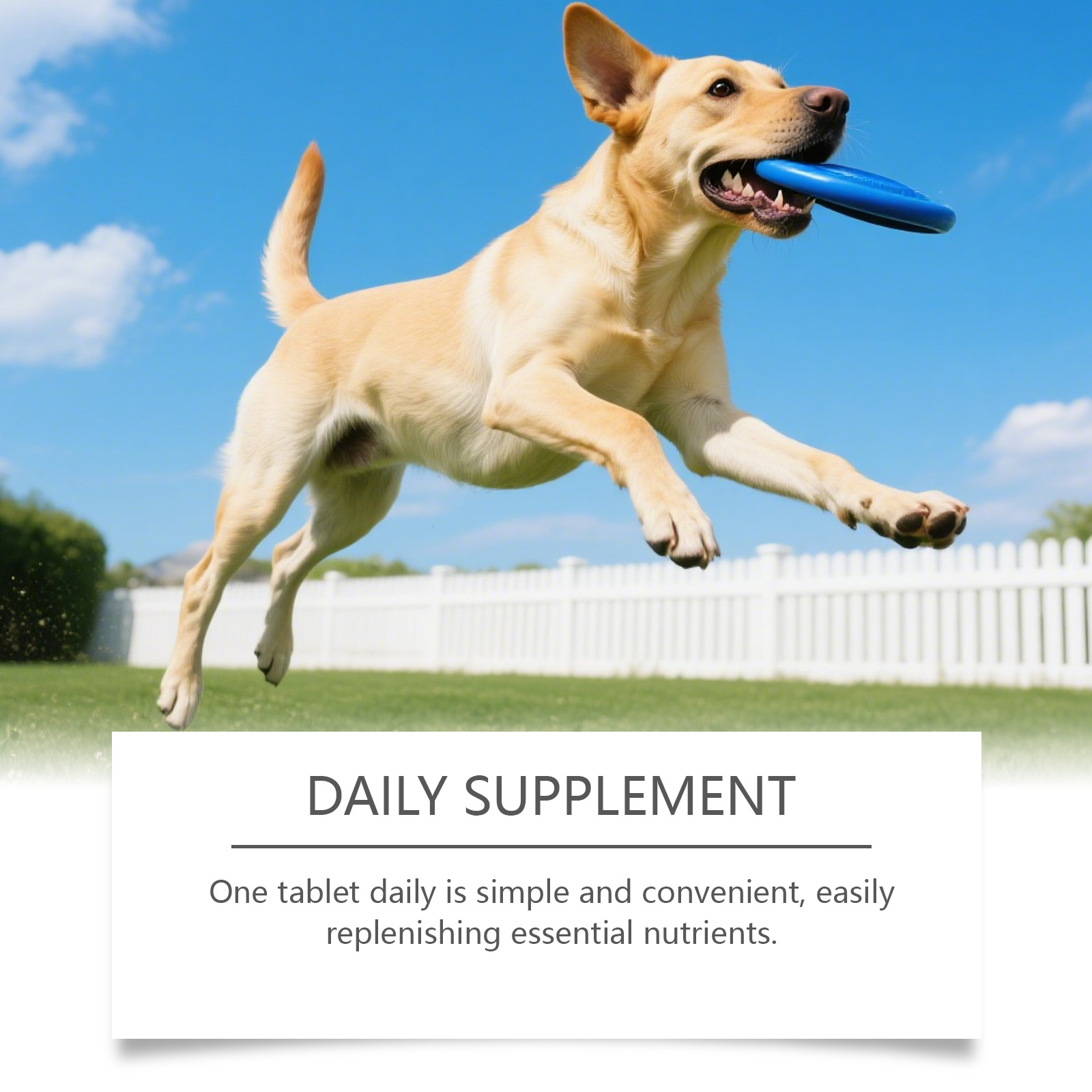 Dog Hip Joint Soft Granules Mild Gentle Comfort Joint Care Daily Maintenance Canine Joint Protection