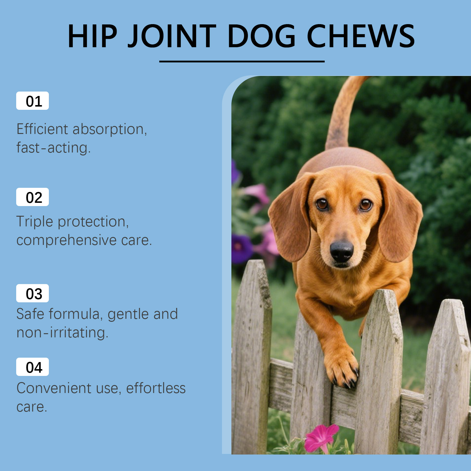 Dog Hip Joint Soft Granules Mild Gentle Comfort Joint Care Daily Maintenance Canine Joint Protection