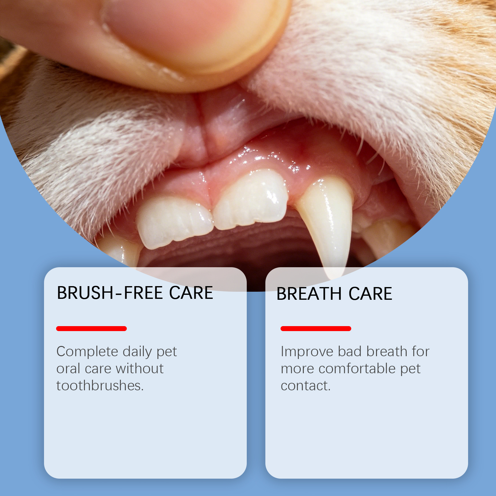 Pet Oral Care Liquid Mild Formula Mint Fragrance Gum Protection Bad Breath Removal Daily Cleansing