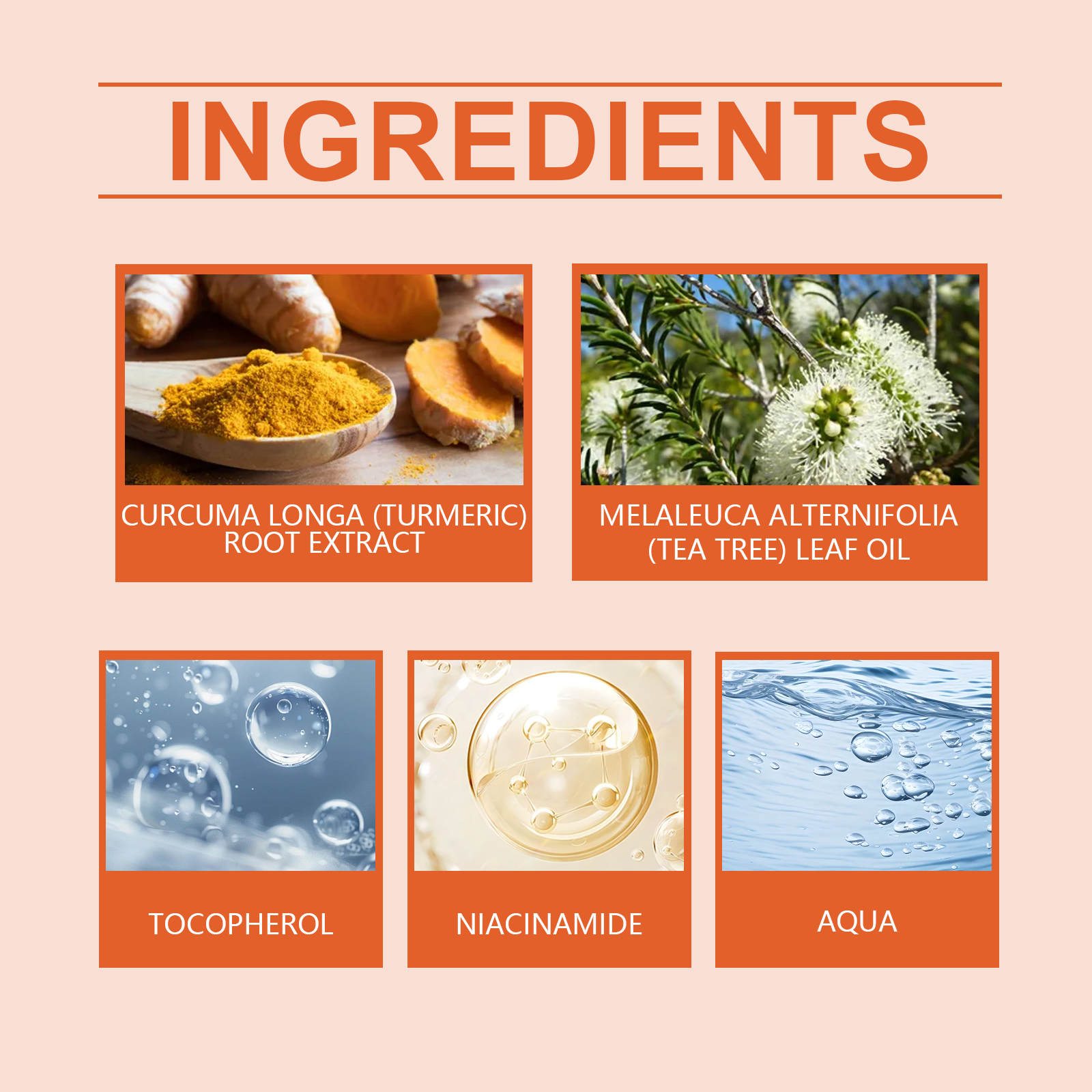 Turmeric Brightening Skincare Set Exfoliating Serum Moisturizing Cream For Dull & Acne-Prone Skin Brighten Even Tone Vegan Kit