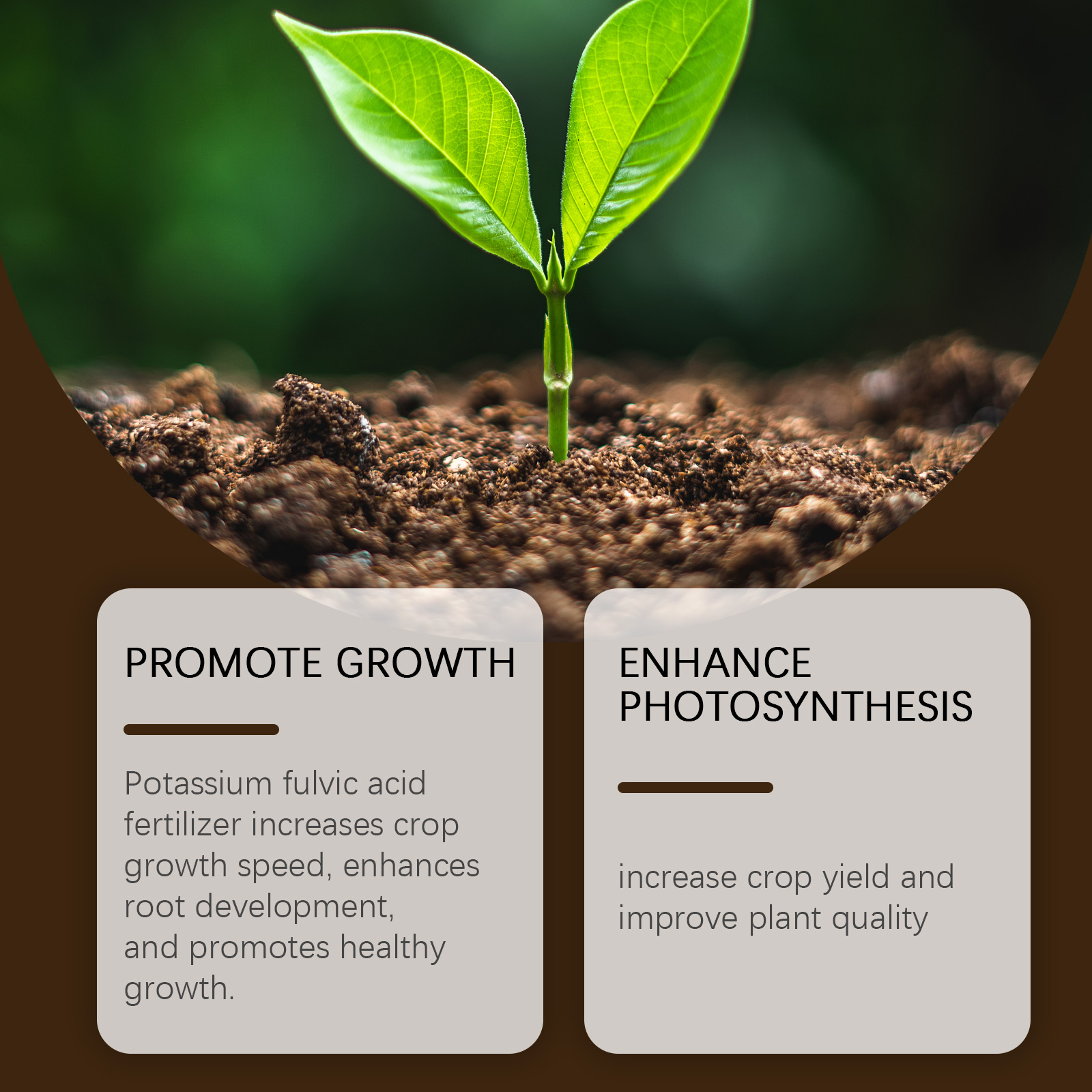  Soil Activator Promoting Growth Increasing Soil Fertility Improve Soil Structure Enhance Disease Resistance Soil Loosening Agent ﻿