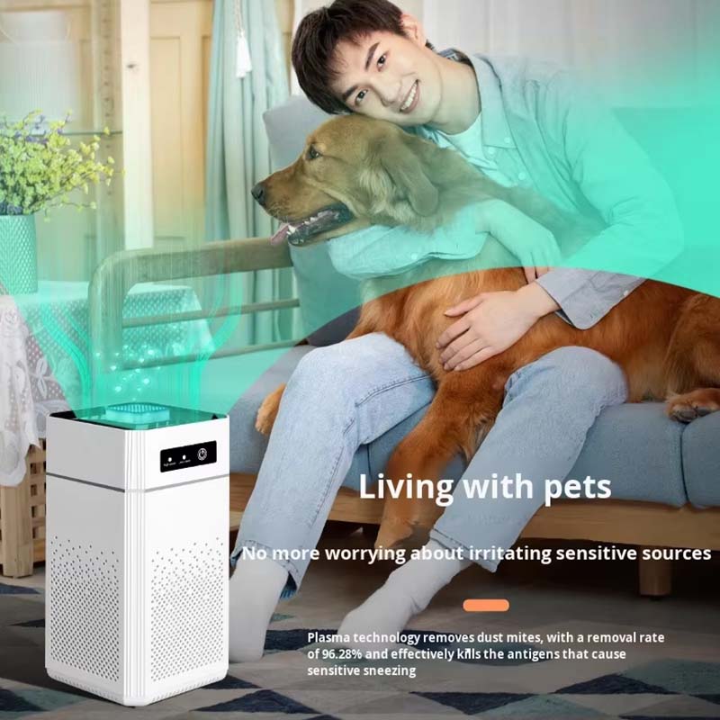 Negative Ion Air Purifier Hepa Filter Aromatherapy Smoke Remover Odor Eliminator Multi-Function Home Bedroom Office Purifier
