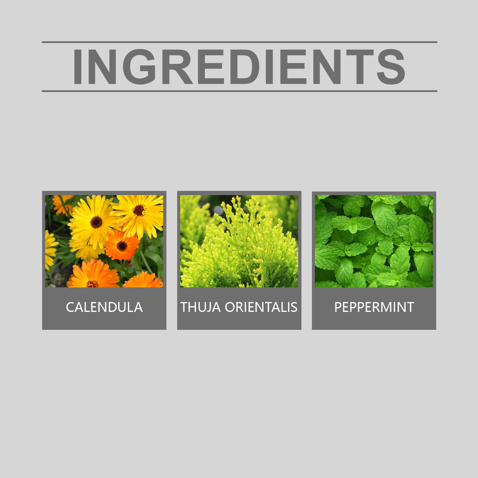 Male Care Cream Mild Ingredients Moisturizing Hydrating Daily Massage Smear Body Skin Care Maintain Lotion