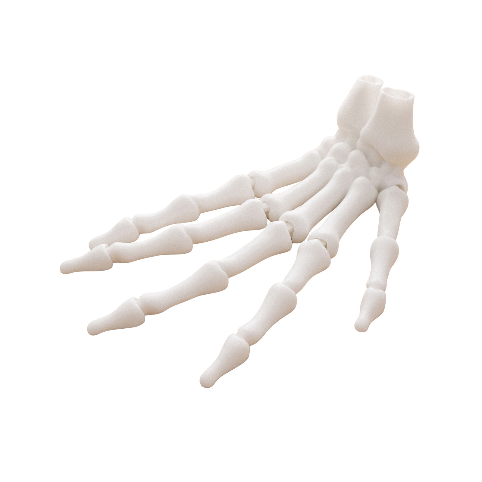 Halloween Skeleton Hand Toy Simulation Ornament Decor Festival Party Prop Desktop Scene Layout