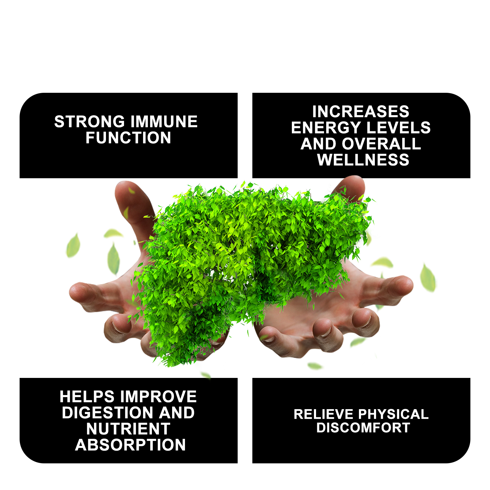 3X Liver Drops 7Special Compounds Ultra Absorption Body Treatmentjc Support Liver Cleanse Detox