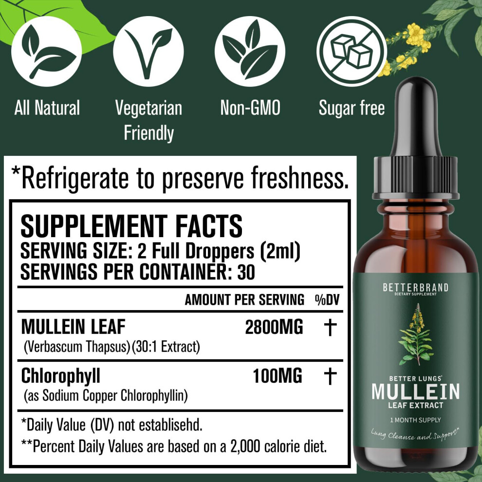 Leaf Extract for Lungs Mullein Drops for Lungs Natural Mullein Leaf Drops for Smokers Cleanse Respiratory Function for Lungs Detox Healthcare Supplement