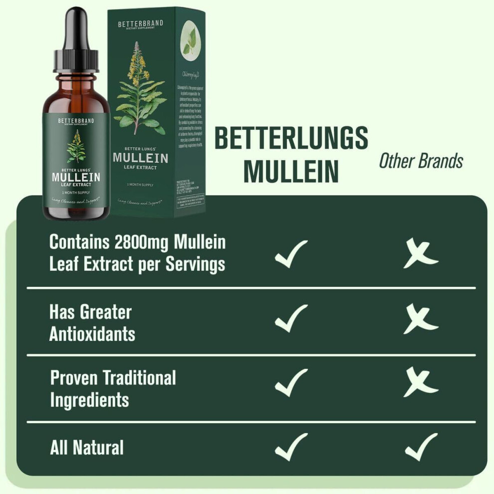 Leaf Extract for Lungs Mullein Drops for Lungs Natural Mullein Leaf Drops for Smokers Cleanse Respiratory Function for Lungs Detox Healthcare Supplement