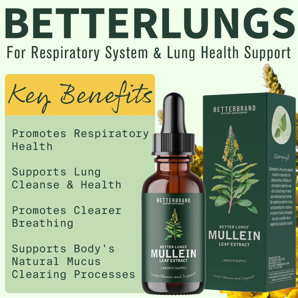 Leaf Extract for Lungs Mullein Drops for Lungs Natural Mullein Leaf Drops for Smokers Cleanse Respiratory Function for Lungs Detox Healthcare Supplement