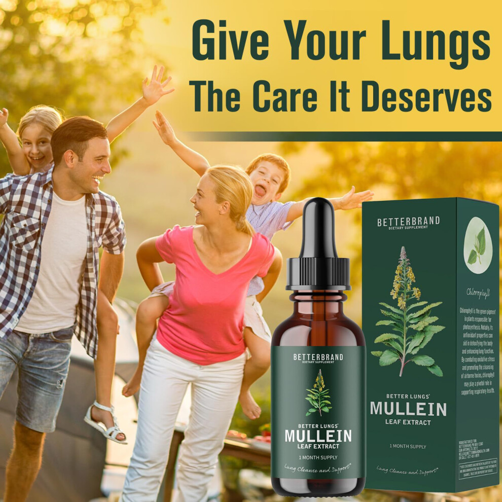 Leaf Extract for Lungs Mullein Drops for Lungs Natural Mullein Leaf Drops for Smokers Cleanse Respiratory Function for Lungs Detox Healthcare Supplement