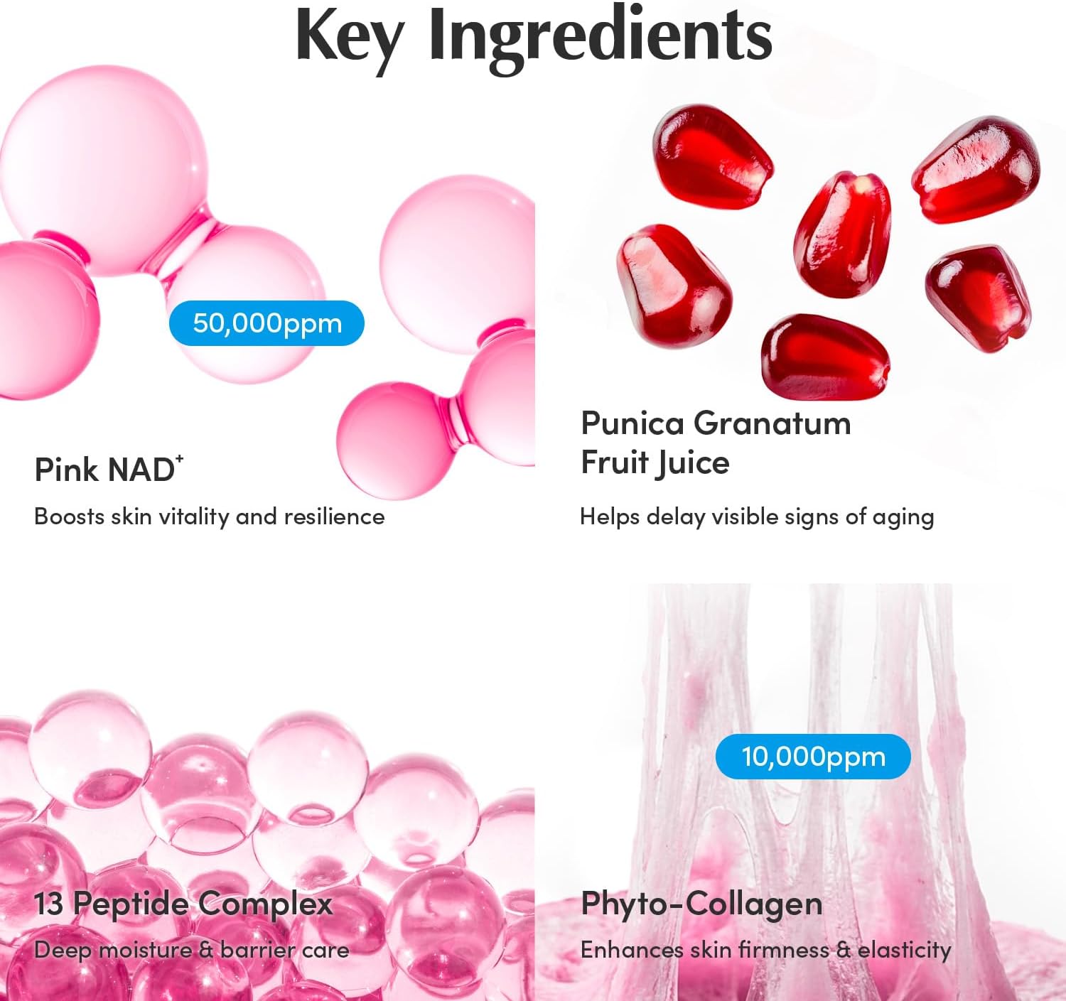 EQQUALBERRY NAD Peptide Boosting Cream 50ml Hydrating Barrier Supporting Moisturiser with NAD Peptides Ceramides Daily Skin Comfort Vitality Support New
