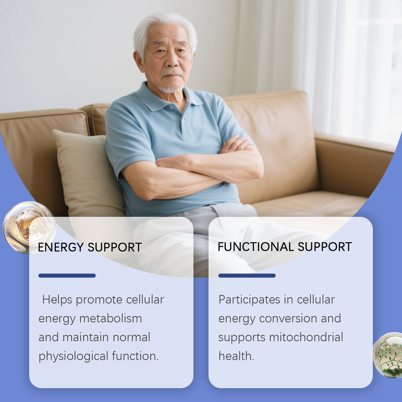 Energy Balance Drops | Daily Support for Physical Comfort & Mental Clarity | Gentle Nourishing Formula to Boost Vitality & Ease Discomfort