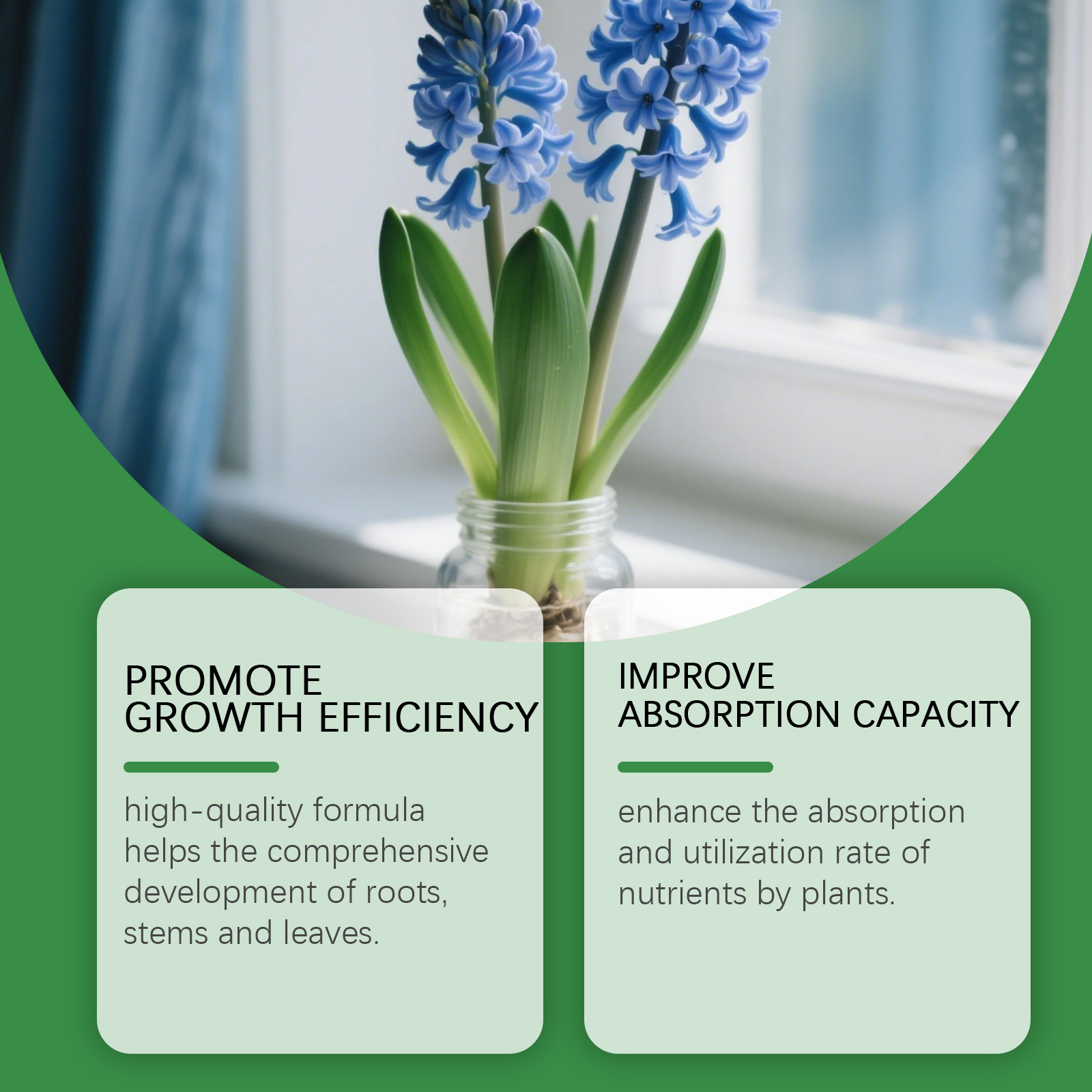 Hydroponic Plant Nutrient Solution 2Pcs/Box A And B Fertilizer Solution Kit Flowers Fruit Soilless Cultivation Nutrient Solution ﻿