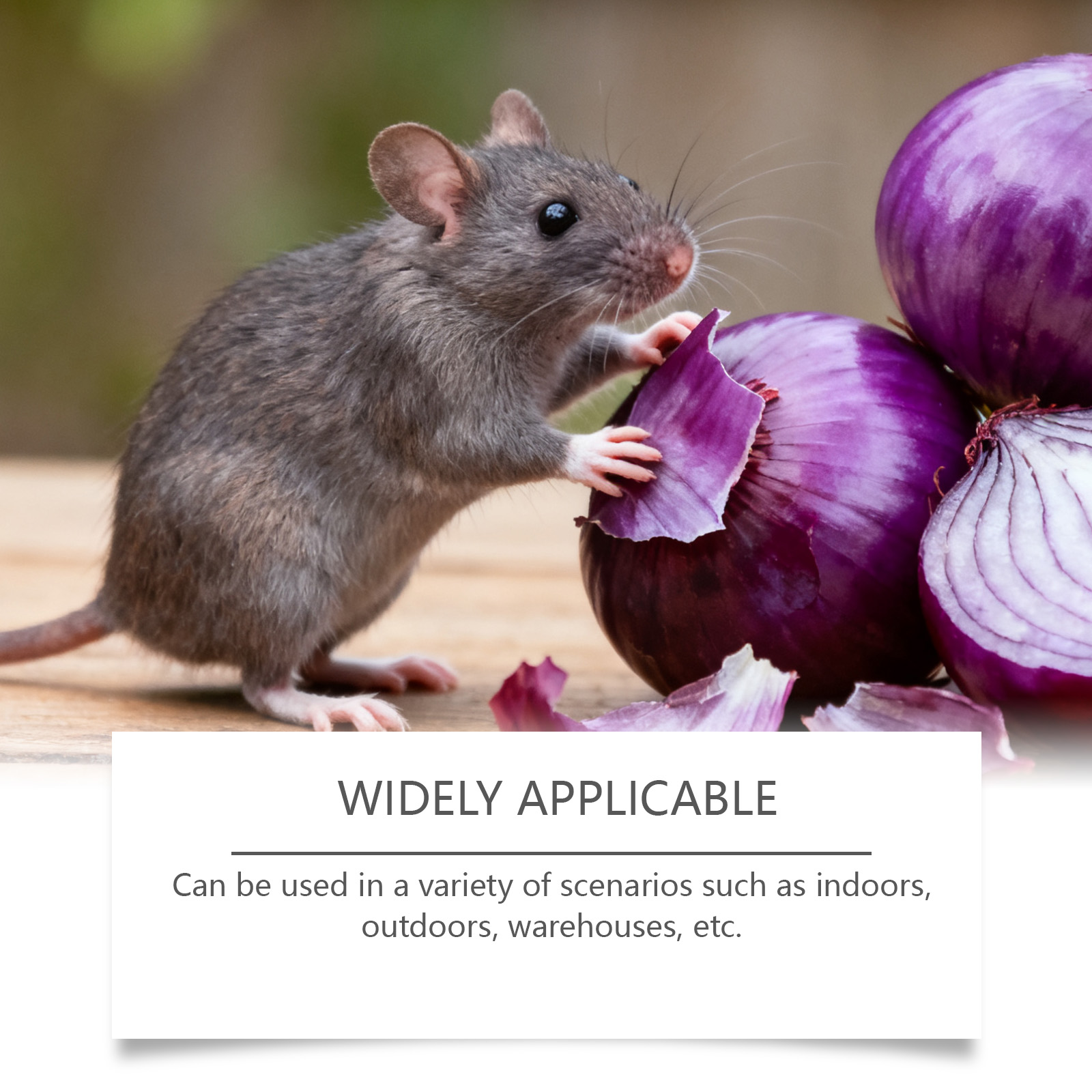 Rat Repellent Pill Strong Effective Indoor Outdoor Household Garden Warehouse Farm Basement Attic Garage