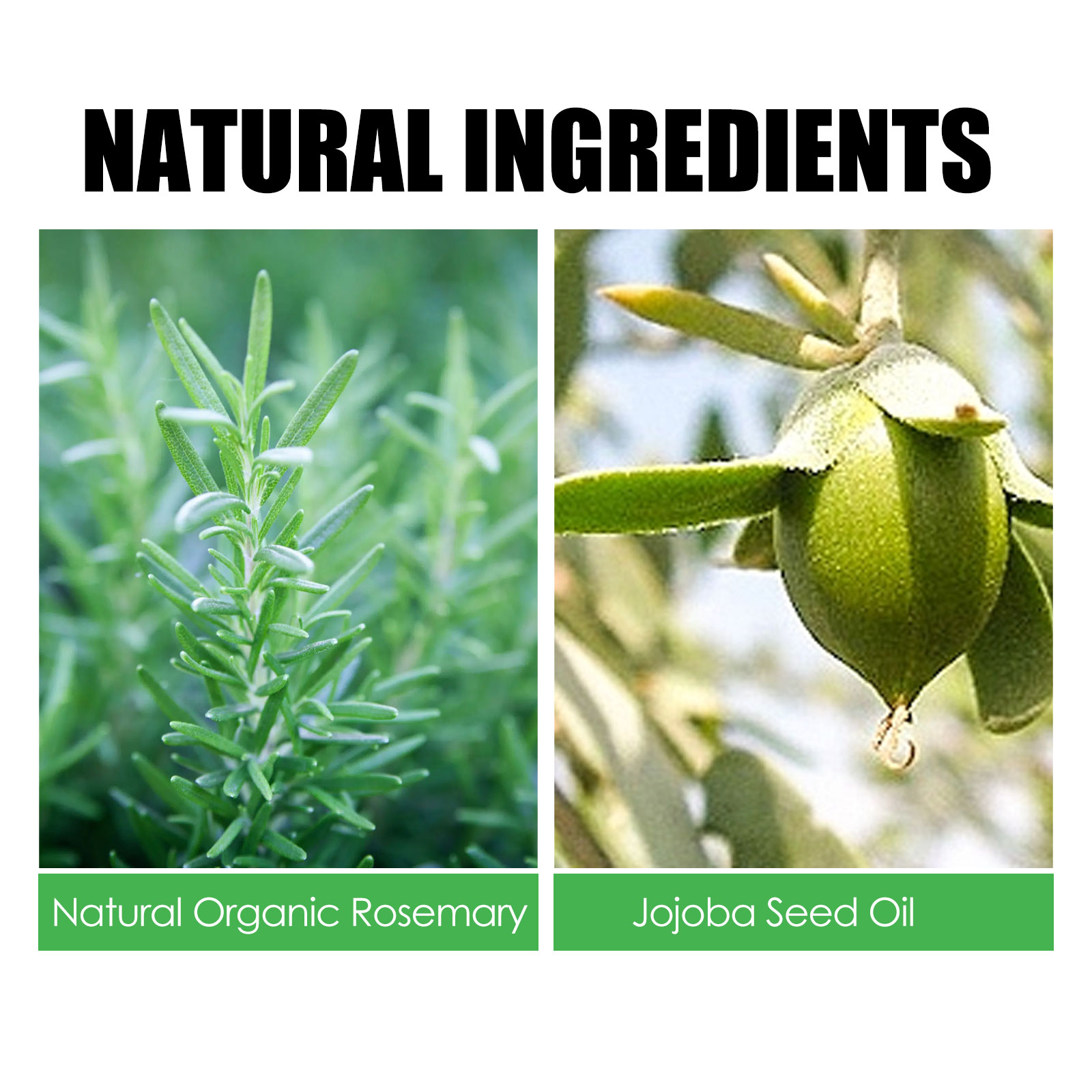 Rosemary Hair Care Gift Set Essential Oil Scalp Treatment Nourishing Thinning Hair Reduce Breakage Sebum Control Natural Formula