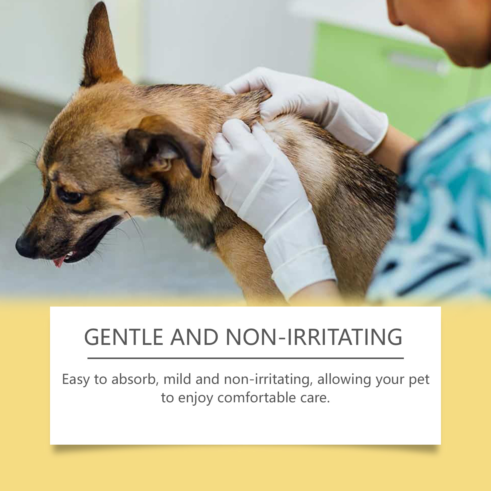 Pet Skin Care Spray Gentle Moisturizing Care For Cats And Dogs Skin Relief