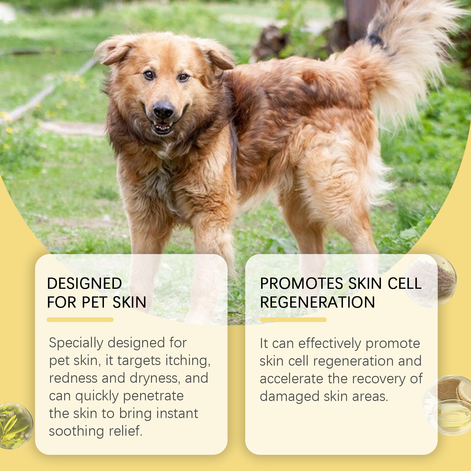 Pet Skin Care Spray Gentle Moisturizing Care For Cats And Dogs Skin Relief