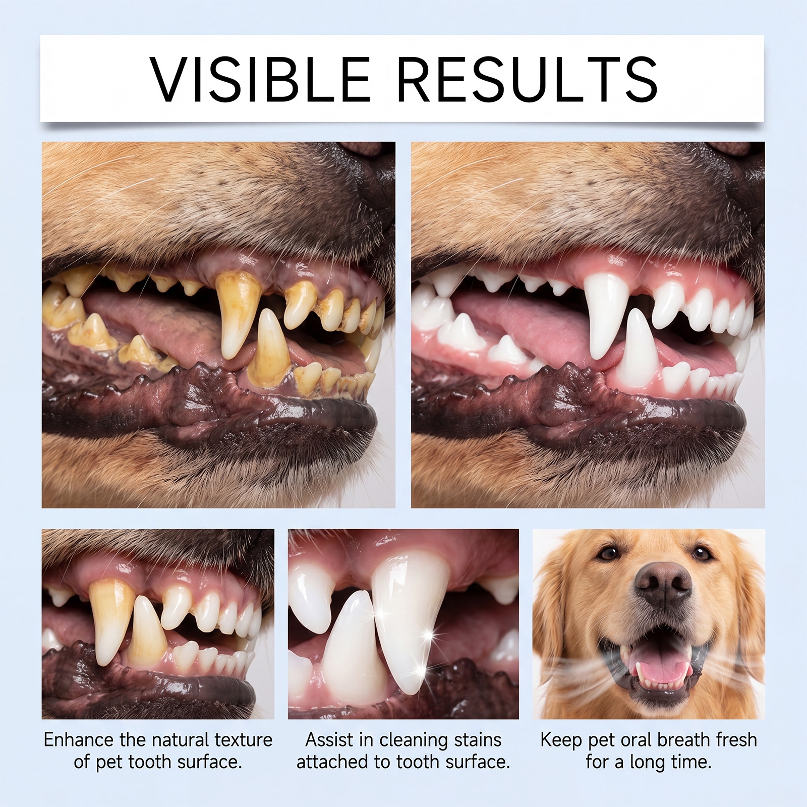 Pet Oral Care Spray Mild Gentle Care Fresh Comfort Clean Breath Daily Oral Maintenance For All Pets