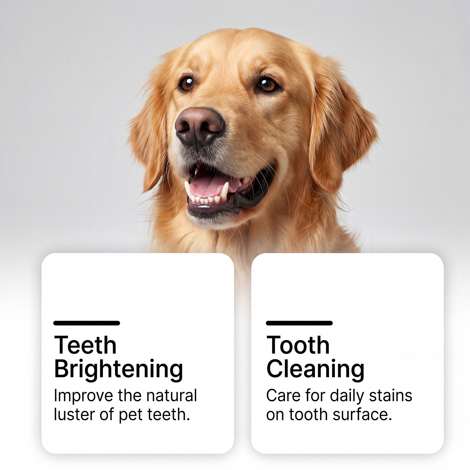 Pet Oral Care Spray Mild Gentle Care Fresh Comfort Clean Breath Daily Oral Maintenance For All Pets