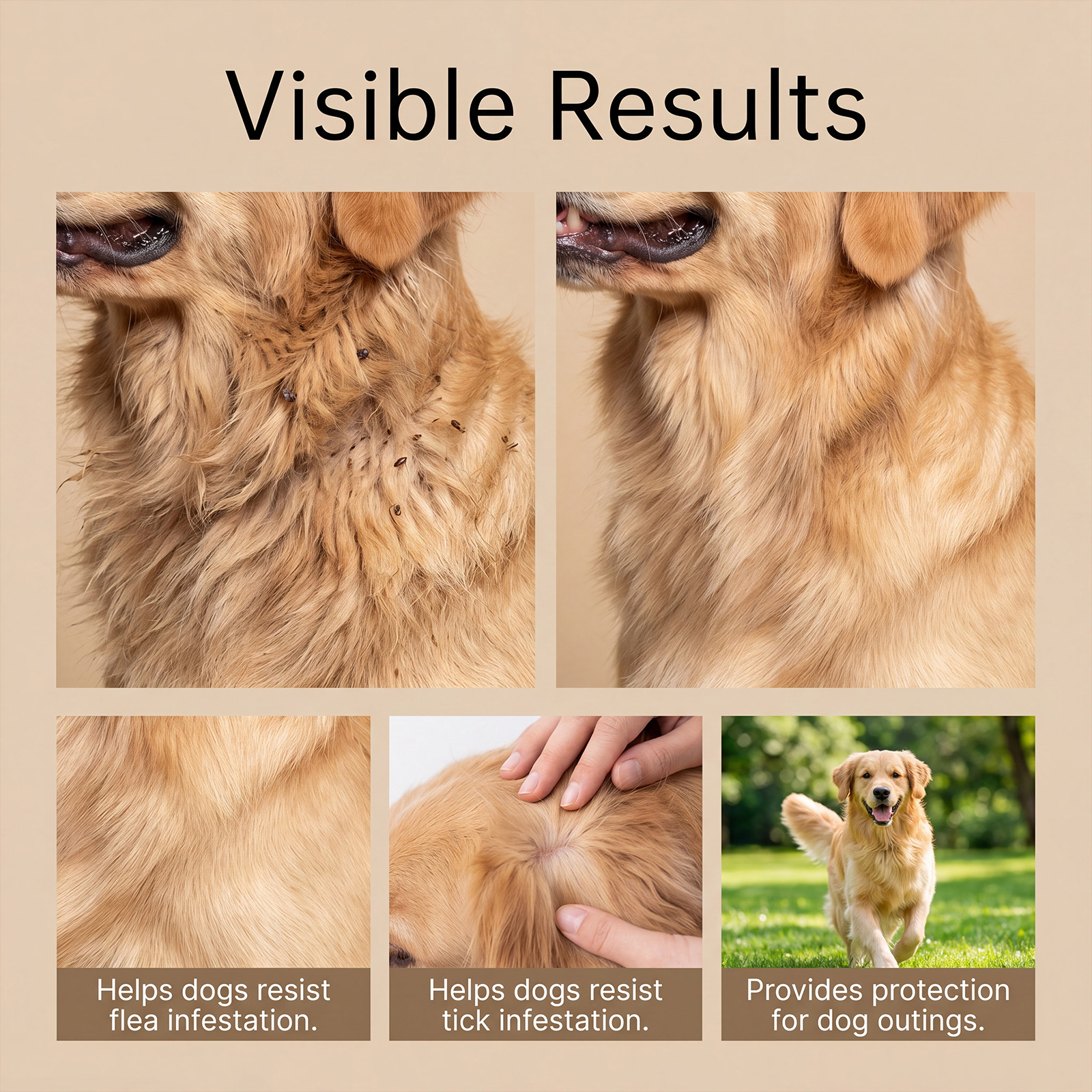 Dog Insect Repellent Collar Pet Flea Tick External Protection Durable Household Daily Use