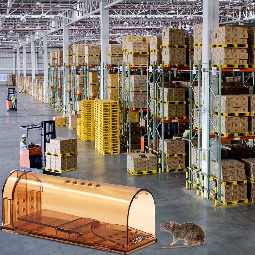 Humane Mouse Trap - Live Catch Trap - No Kill / Pack of 2 Traps Rat Trap No Kill Catch Cage Pet Child Safe Reusable