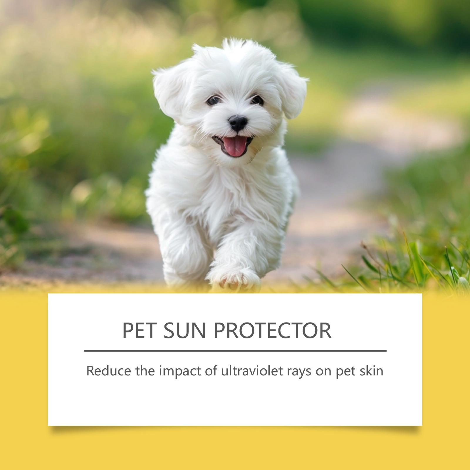 Pet Protective Spray Summer Outdoor Cat Dog Hair Refreshing Non Greasy Gentle Convenient Care