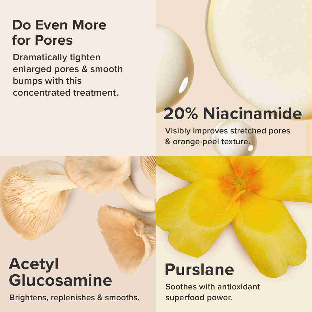 Paulas Choice Niacinamide 20 Treatment - Serum Tightens & Minimises Enlarged Pores - Fades Brown Spots & Brightens Skin with Vitamin C - All Skin Types - 20 ml