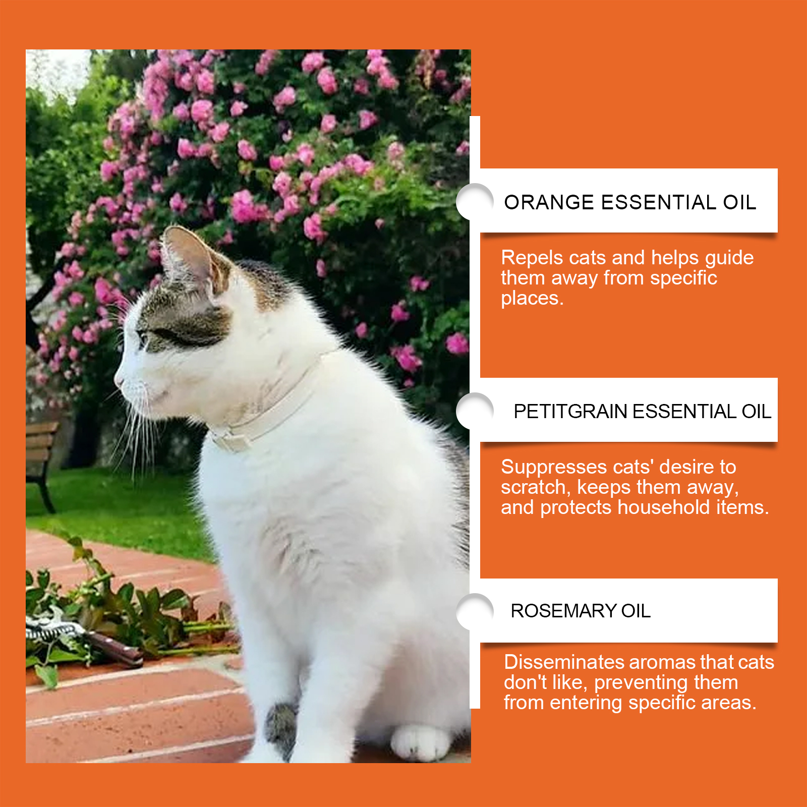 Cat Care Spray Mild Ingredients Reduce Cat Scratching Prevent Chewing Household Protection Spray