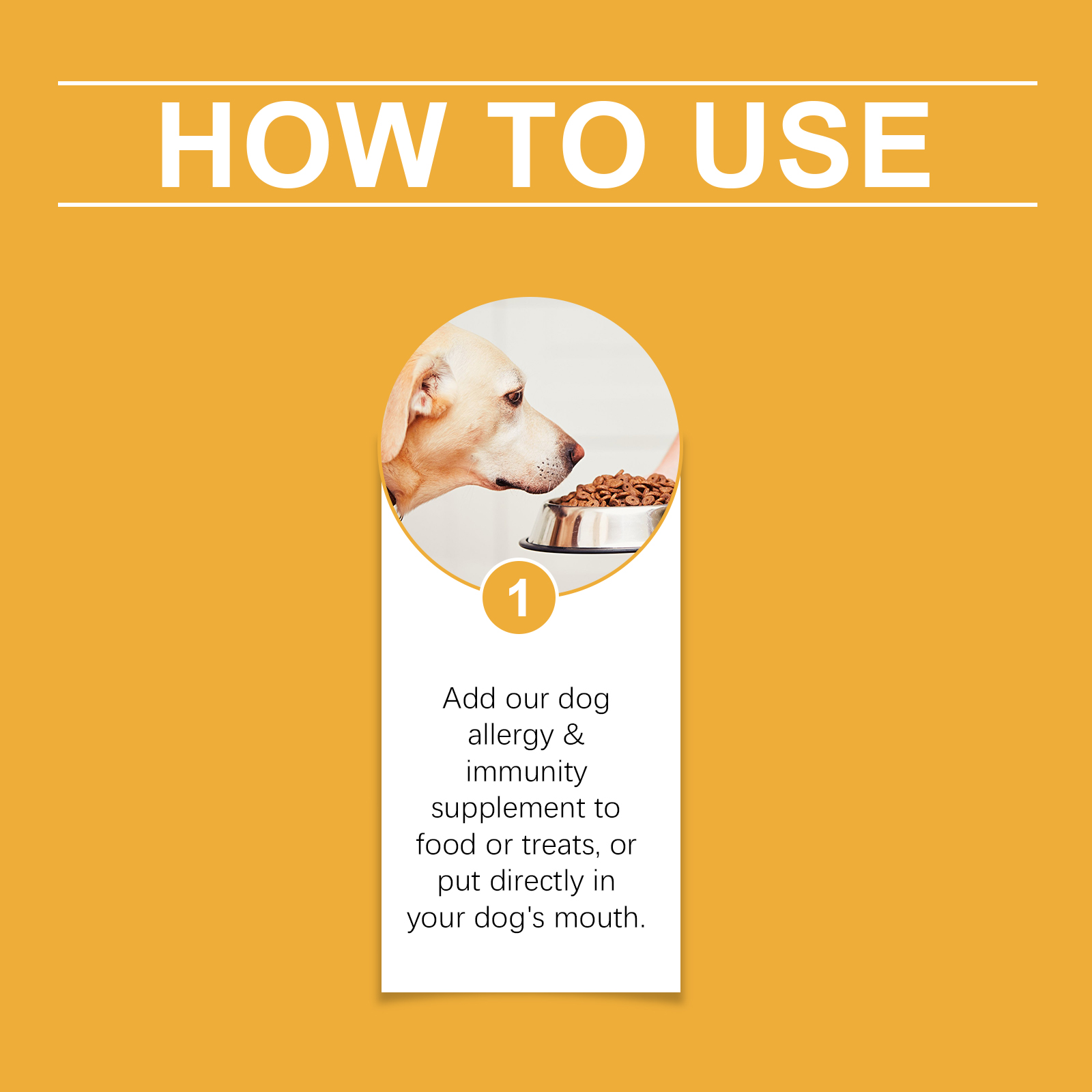 Dog Allergy Immune Support Drops Natural Supplement for Liver Skin