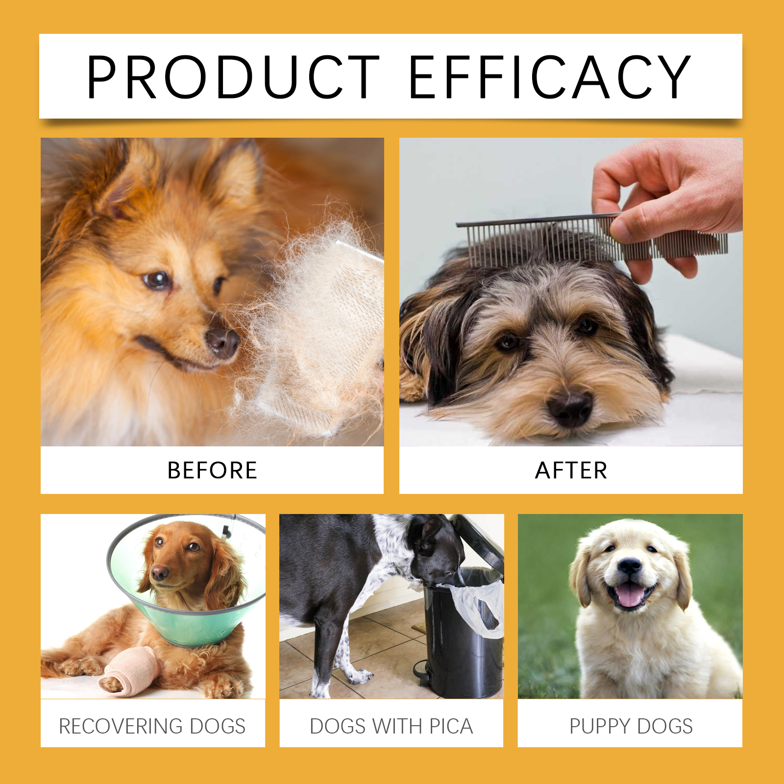 Dog Allergy Immune Support Drops Natural Supplement for Liver Skin