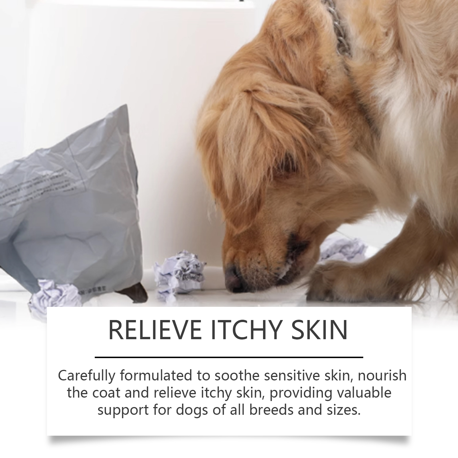 Dog Allergy Immune Support Drops Natural Supplement for Liver Skin