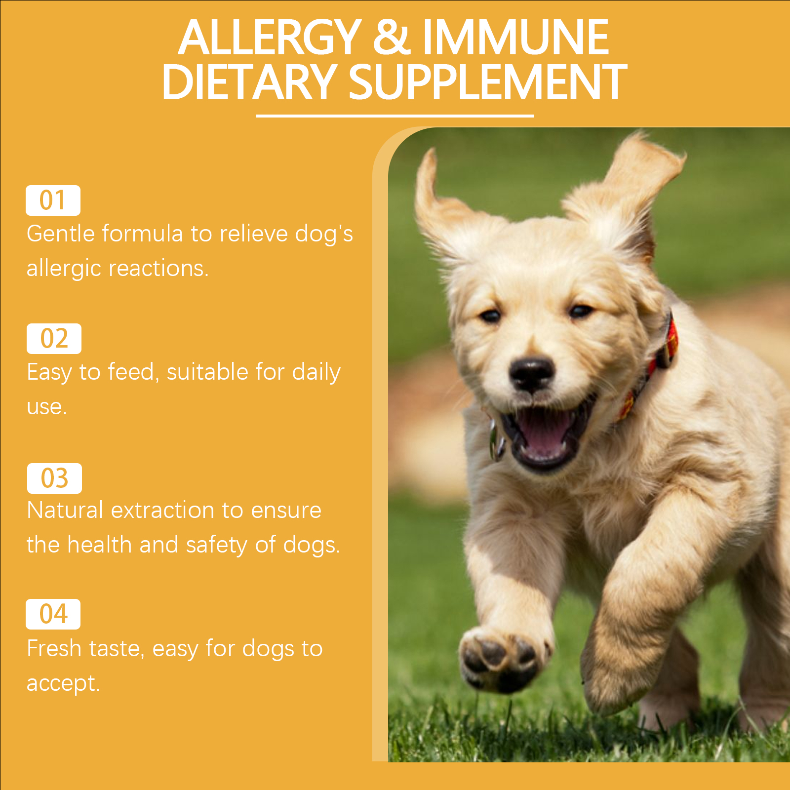 Dog Allergy Immune Support Drops Natural Supplement for Liver Skin