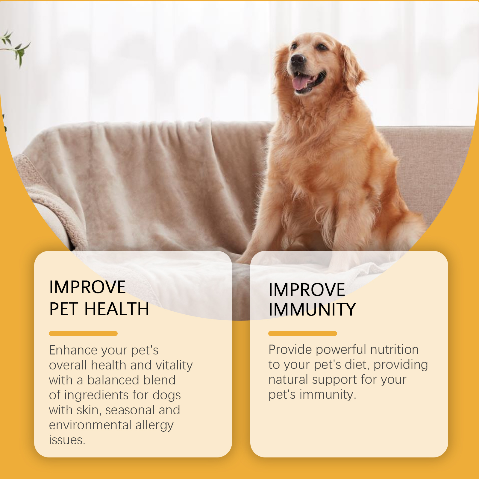 Dog Allergy Immune Support Drops Natural Supplement for Liver Skin