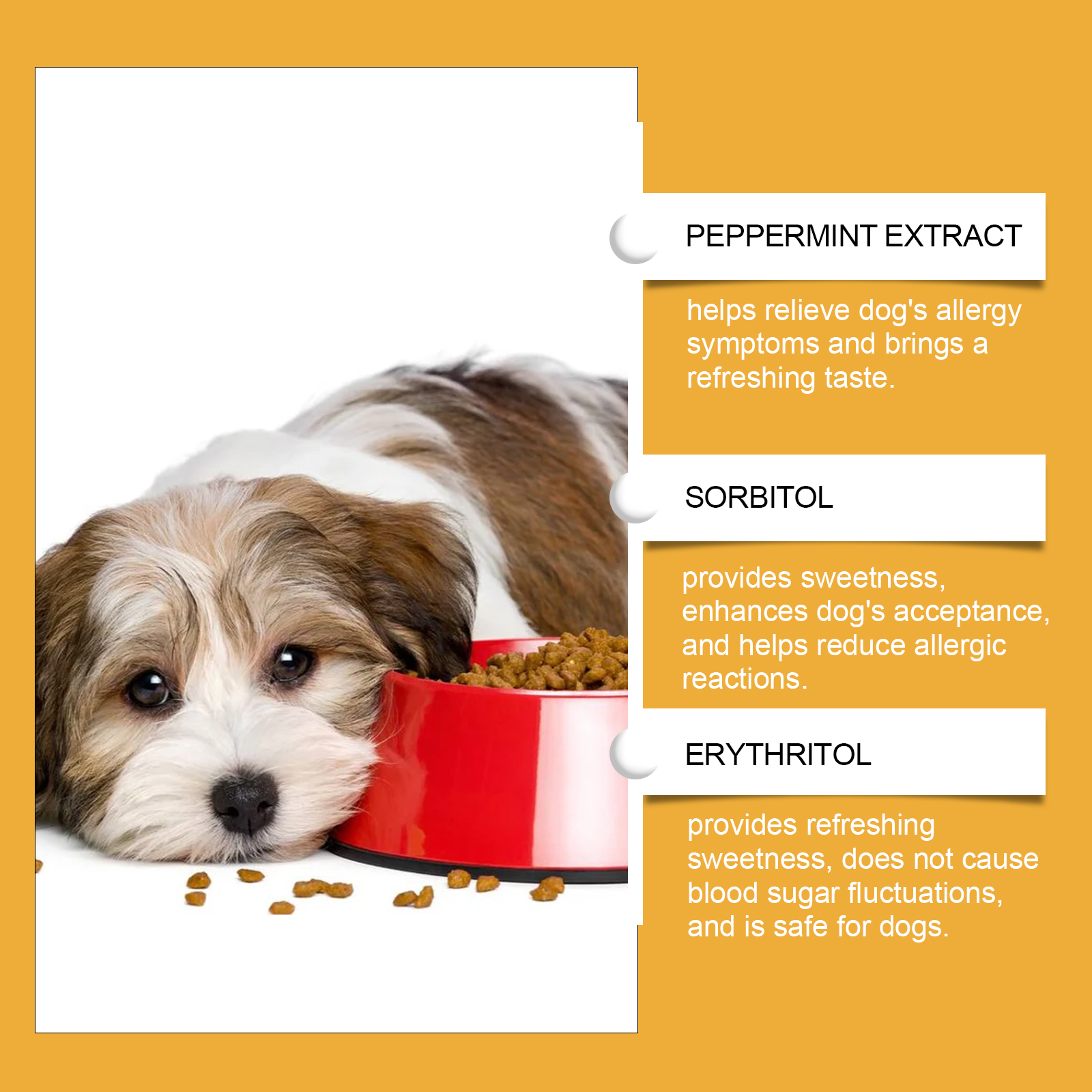 Dog Allergy Immune Support Drops Natural Supplement for Liver Skin