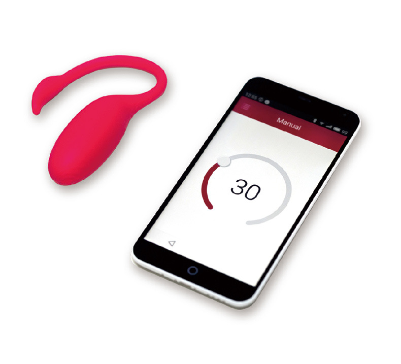 APP Controlled Wearable Egg Vibrator G-Spot Clitoral Knicker Vibrator Clit Massage Stimulator Dildo Silicone Sex Toy for Women
