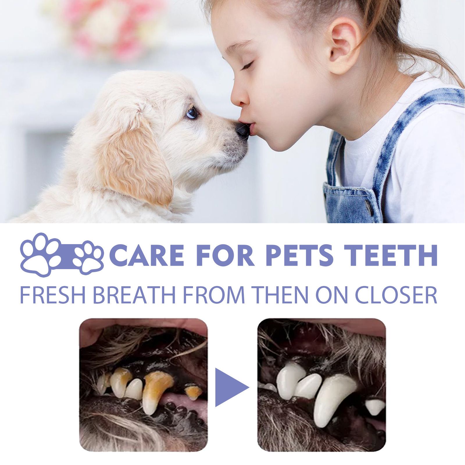 Pet Oral Care Spray Freshens Breath Reduces Plaque Tartar for Dogs and Cats 50ml