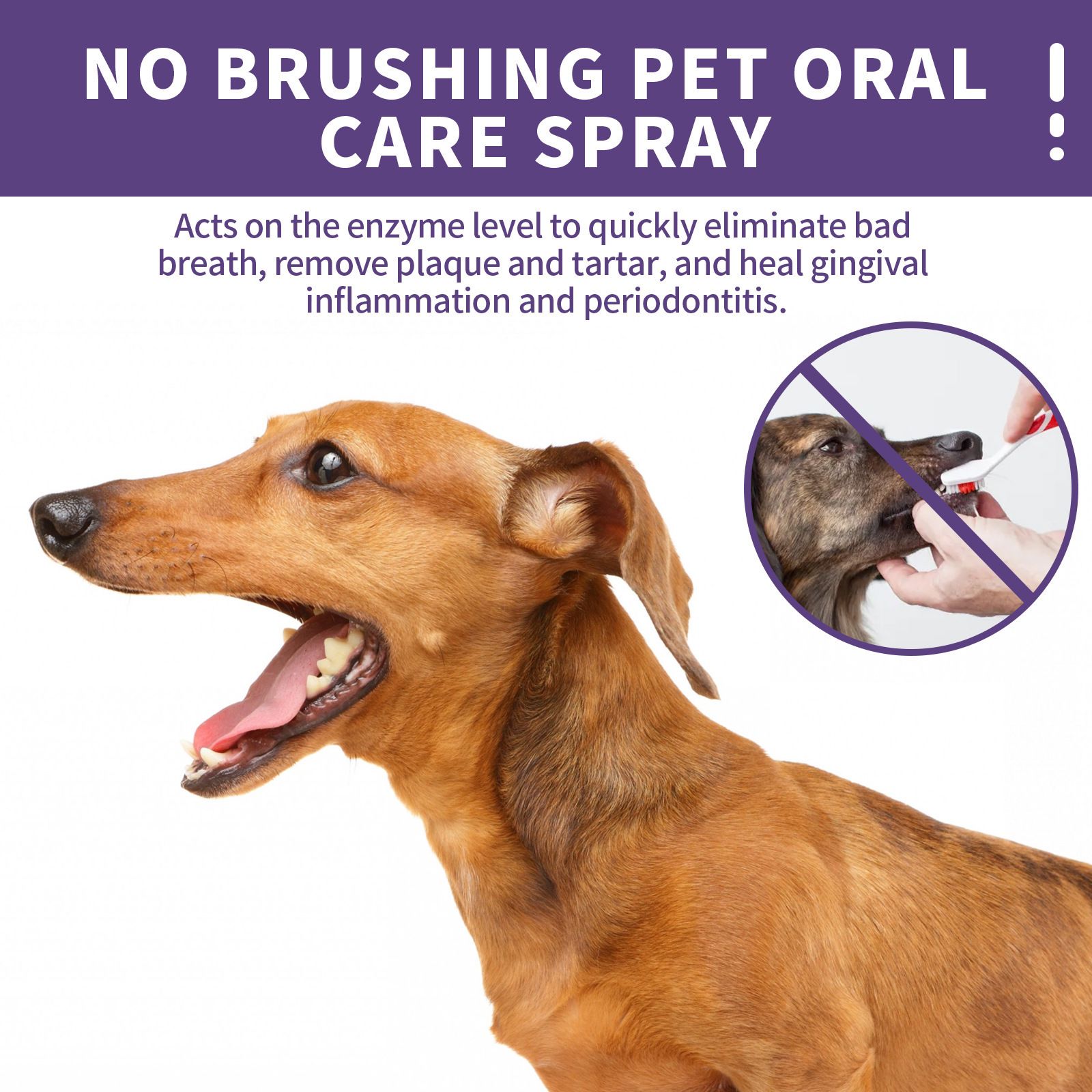Pet Oral Care Spray Freshens Breath Reduces Plaque Tartar for Dogs and Cats 50ml