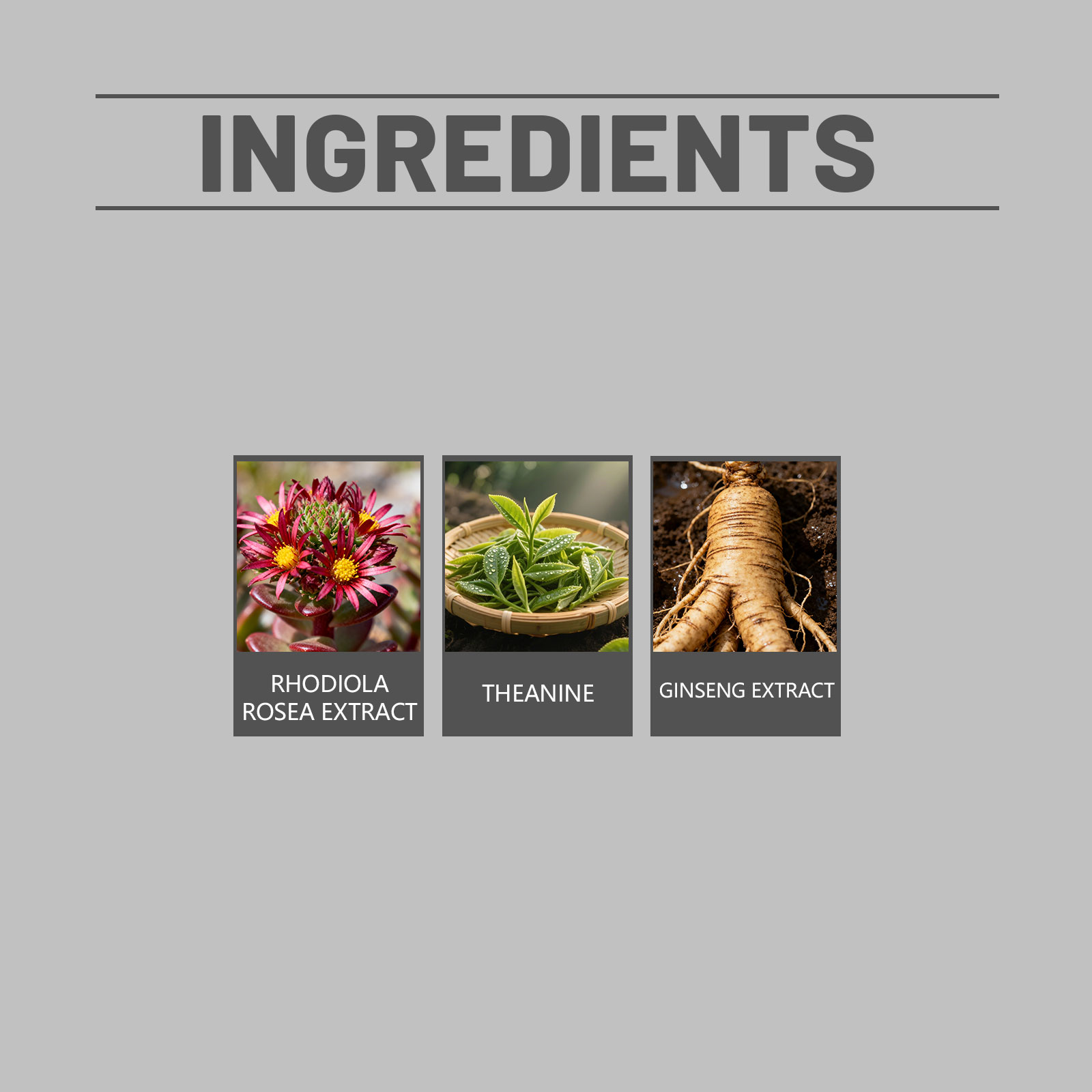 GML-3 Explosive Muscle Growth GC-Advanced Muscle Activation Recovery Support Anti-Aging & Vitality Support