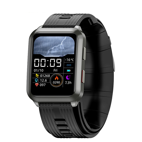 Air Pump Airbag True Blood Pressure Medical Sphygmomanometer Smart Watch