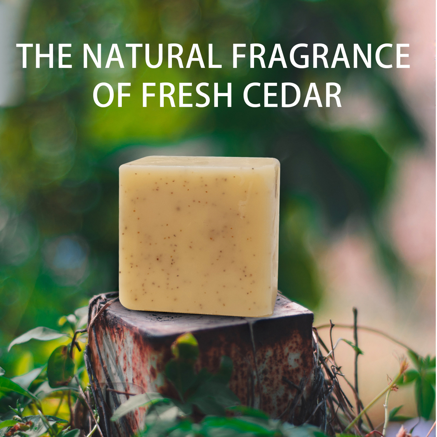 Lion Soap Bar Handmade Deep Cleansing For Face And Body Daily Skincare Routine Nourishing Moisturizing Gentle Natural 100ml