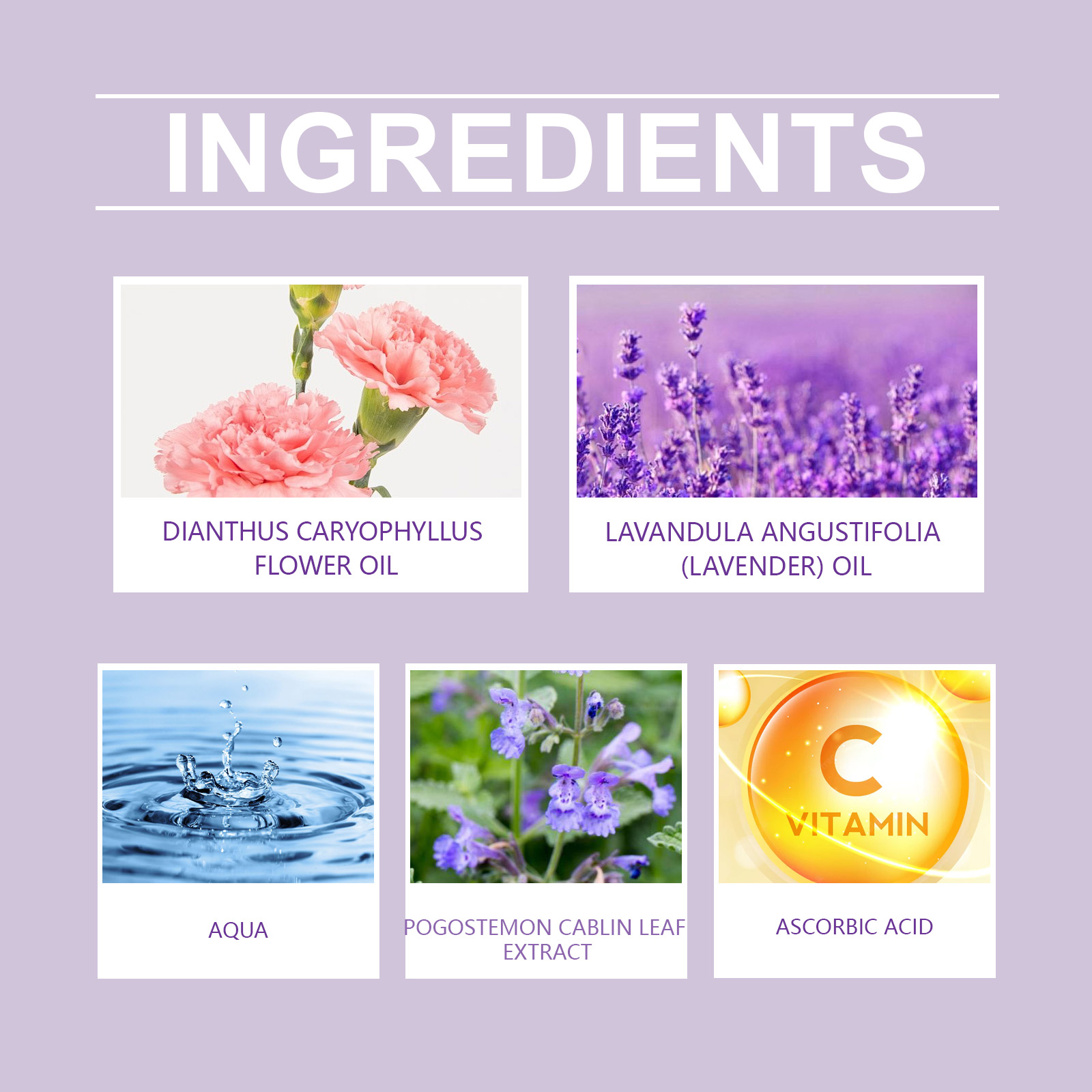 Women Roll On Perfume Natural Fresh Long Lasting Carnation Daily Light Unique Portable Fragrance