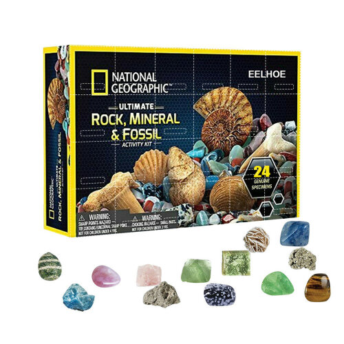Advent Calendar Stone Rocks Mineral Fossil Kit 2022 Christmas 24 Days Countdown Calendar Geology Enthusiasts Collection Xmas Suprise Gift Box Treasure Ore Guessing Fun Toy Early Childhood Education Toys