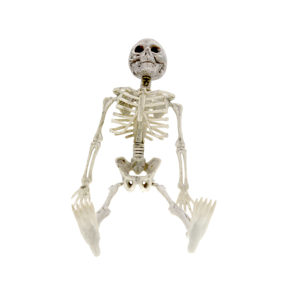 Human Skeleton Prop Halloween Party Decoration