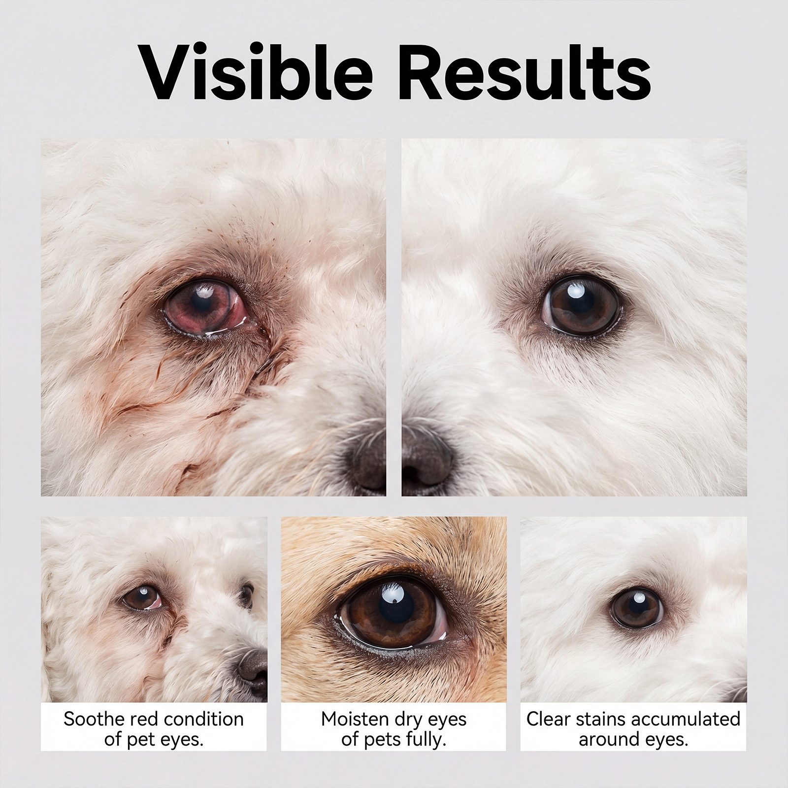 Pet Neomycin Sulfate Eye Drops Mild Texture Moist Comfortable For Cat And Dog Eye Care Use